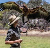 One Day Kangaroo Island Sip  See tour with return ferry transfers from Adelaide - Holiday Jervis Bay