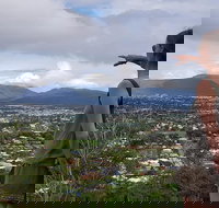 Cairns Aquarium and small group City Sightseeing Tour - Holiday Jervis Bay