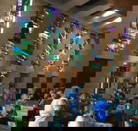 Cairns Shore Excursion Cairns City Sights  Surrounds Tour - Holiday Jervis Bay