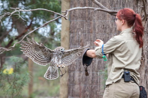 Moonlit Sanctuary Wildlife Conservation Park Daytime General Entry Ticket - Holiday Jervis Bay 1
