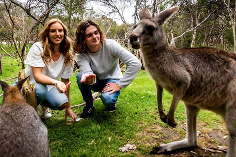 Moonlit Sanctuary Wildlife Conservation Park Daytime General Entry Ticket - Holiday Jervis Bay 2