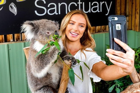 Moonlit Sanctuary Wildlife Conservation Park Daytime General Entry Ticket - Holiday Jervis Bay 4