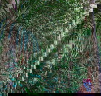 Atherton Tablelands Rain Forest by Night from Cairns - Holiday Jervis Bay