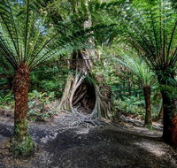 Adelaide to Melbourne 3-Day Trip through Grampians and Great Ocean Road - Holiday Jervis Bay