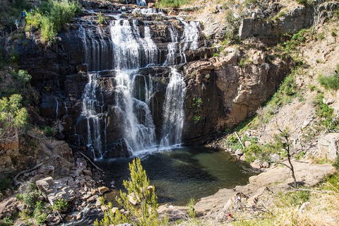 Grampians National Park With Kangaroos And MacKenzie Falls From Melbourne - Holiday Jervis Bay 1