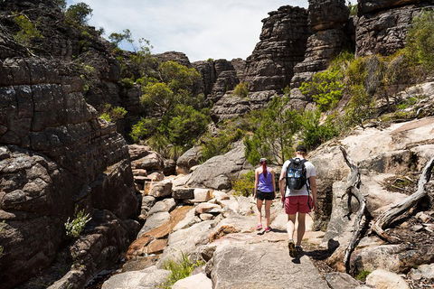 Grampians National Park With Kangaroos And MacKenzie Falls From Melbourne - Holiday Jervis Bay 3