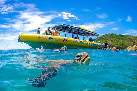 Great Barrier Reef Scenic Flight And Ocean Rafting Whitehaven Beach Day Trip - Holiday Jervis Bay 1