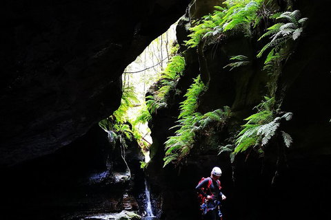 Full-Day Canyoning Experience At Stunning Empress Canyon - Holiday Jervis Bay 2