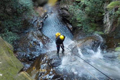 Full-Day Canyoning Experience At Stunning Empress Canyon - Holiday Jervis Bay 4