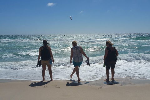 Very Best Of Perth Tour - Wildlife Park & City Highlights Tour - Holiday Jervis Bay 5