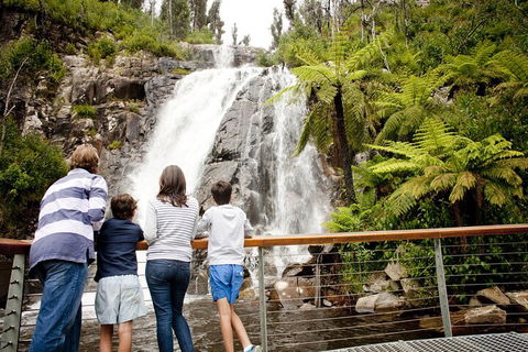 Lake Mountain Snow Trip Including Yarra Valley Chocolaterie From Melbourne - Holiday Jervis Bay 0