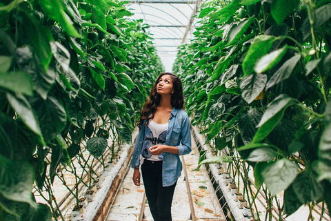 Yarra Valley Local Produce And Wine Tasting Tour - Holiday Jervis Bay 0