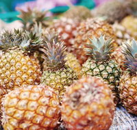 Sunshine Coast Eumundi Markets Return Minibus Transfer - Holiday Jervis Bay