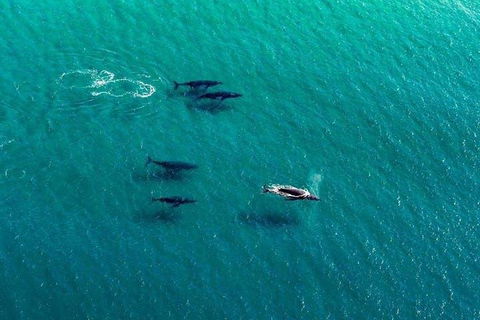 40-45 Minute Port Stephens And Stockton Beach Helicopter Flight - For 2 - Holiday Jervis Bay 0