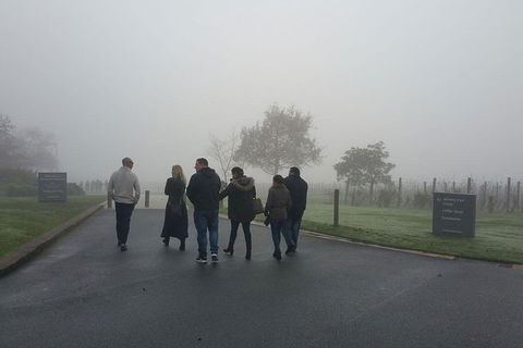 Chauffeur Driven Yarra Valley Group Wine Tour - Up To 7 - Holiday Jervis Bay 4