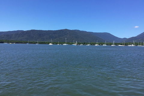 Cairns City Tour - Holiday Jervis Bay 3