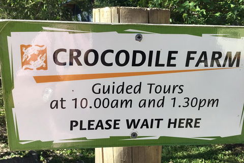 Cairns City Tour - Holiday Jervis Bay 5