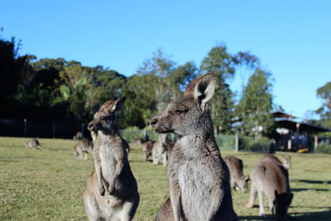 Royal National Park Tour - Holiday Jervis Bay 2