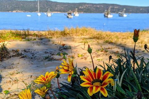 Central Coast Explorer With 'Personalised Sydney Tours' - Holiday Jervis Bay 2