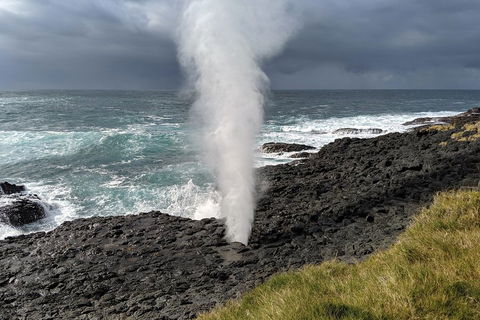 Erupting Blowholes And Ancient Rainforests With 'Personalised Sydney Tours' - Holiday Jervis Bay 1