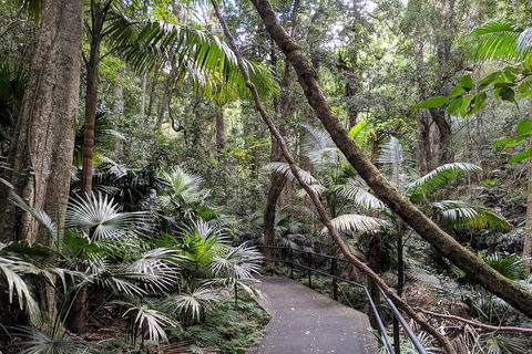 Erupting Blowholes And Ancient Rainforests With 'Personalised Sydney Tours' - Holiday Jervis Bay 2