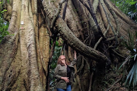 Erupting Blowholes And Ancient Rainforests With 'Personalised Sydney Tours' - Holiday Jervis Bay 4