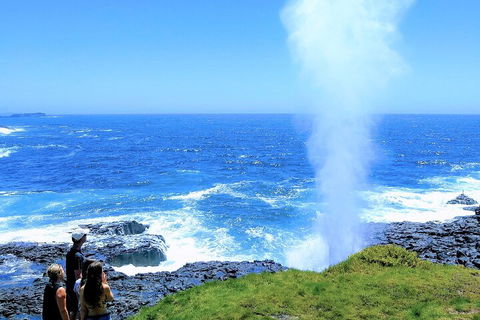Erupting Blowholes And Ancient Rainforests With 'Personalised Sydney Tours' - Holiday Jervis Bay 5