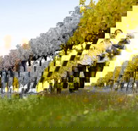 2-Day Private Daylesford  Macedon Ranges Gourmet Food Trail Tour from Melbourne - Holiday Jervis Bay