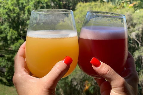 Hipster Sipster Brewery And Distillery Tour - Holiday Jervis Bay 3