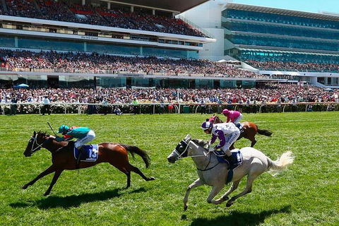 Cultural Melbourne City Tour - Holiday Jervis Bay 4