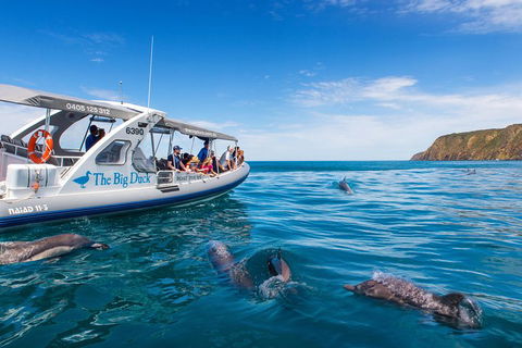 Victor Harbor And McLaren Vale Wine Region Day Tour - Holiday Jervis Bay 1