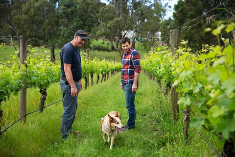 LGBT+ Friendly Full Day Yarra Valley & Dandenong Ranges Private Tour - Holiday Jervis Bay 4