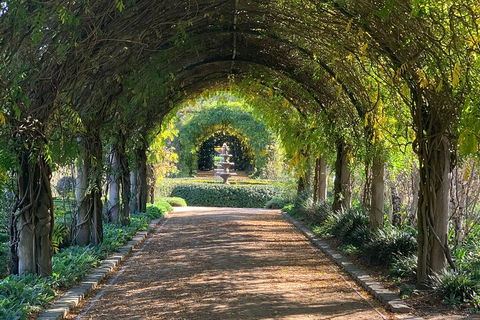 LGBT+ Friendly Full Day Yarra Valley & Dandenong Ranges Private Tour - Holiday Jervis Bay 5