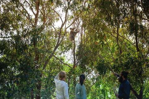 LGBT+ Friendly 3 Day Tour The Grampians, Daylesford & Ballarat - Holiday Jervis Bay 4