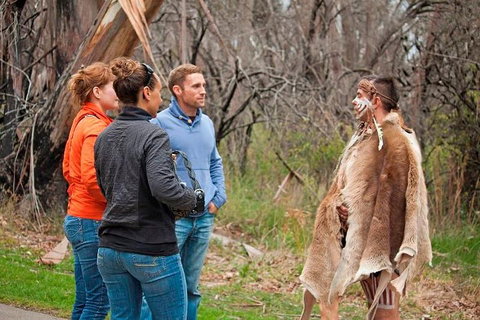 Blue Mountains Tour From Sydney With An Aboriginal Experience - Holiday Jervis Bay 3