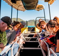 Airlie Beach Glass Bottom Boat Tour - Holiday Jervis Bay
