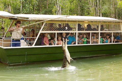 Hartley's Crocodile Adventure Half-Day Tour - Holiday Jervis Bay 0