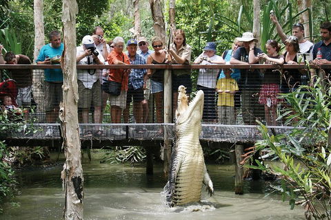 Hartley's Crocodile Adventure Half-Day Tour - Holiday Jervis Bay 1