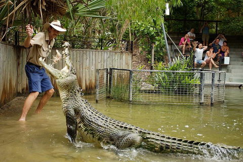 Hartley's Crocodile Adventure Half-Day Tour - Holiday Jervis Bay 2