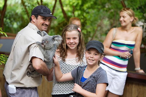 Hartley's Crocodile Adventure Half-Day Tour - Holiday Jervis Bay 3