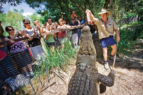Hartley's Crocodile Adventure Half-Day Tour - Holiday Jervis Bay 4