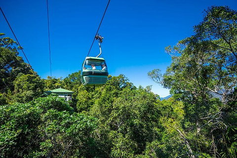 Skyrail Rainforest Cableway Day Trip From Cairns - Holiday Jervis Bay 1