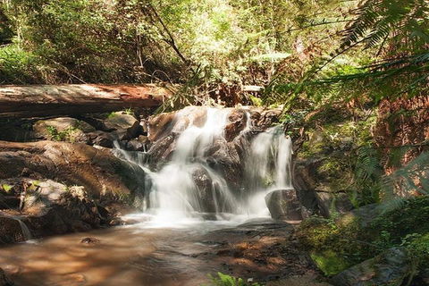 Discover Tour: Dandenong Ranges & William Ricketts Sanctuary - Holiday Jervis Bay 1