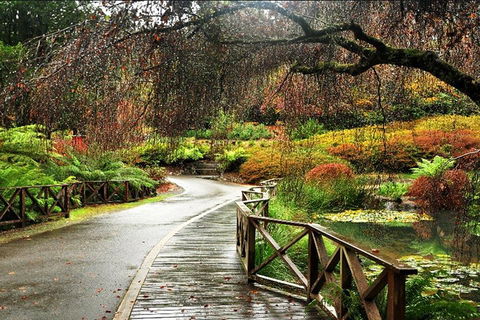 Discover Tour: Dandenong Ranges & William Ricketts Sanctuary - Holiday Jervis Bay 3