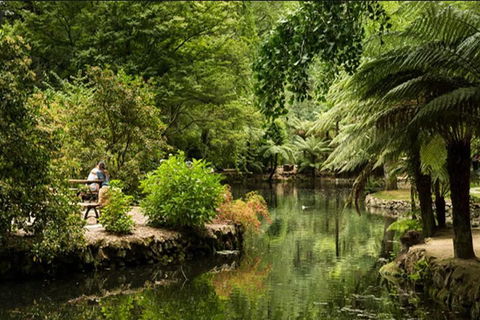 Discover Tour: Dandenong Ranges & William Ricketts Sanctuary - Holiday Jervis Bay 4