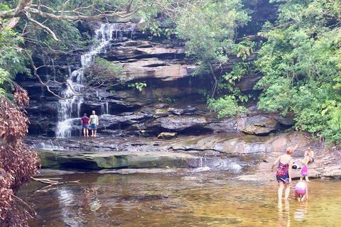 Central Coast Private Tour From Sydney, With Australian Reptile Park Option - Holiday Jervis Bay 0