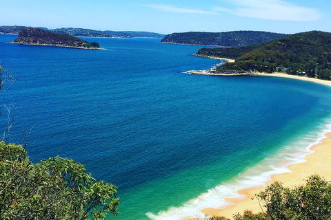 Central Coast Private Tour From Sydney, With Australian Reptile Park Option - Holiday Jervis Bay 5