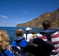 Seal Island Boat Tour from Victor Harbor - Holiday Jervis Bay
