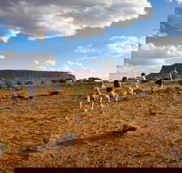 Mount Conner 4WD Small Group Tour from Ayers Rock including Dinner - Holiday Jervis Bay