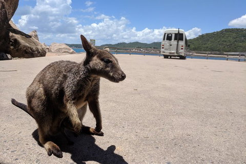 Magnetic Island Tour: Maggie Comprehensive - Holiday Jervis Bay 0